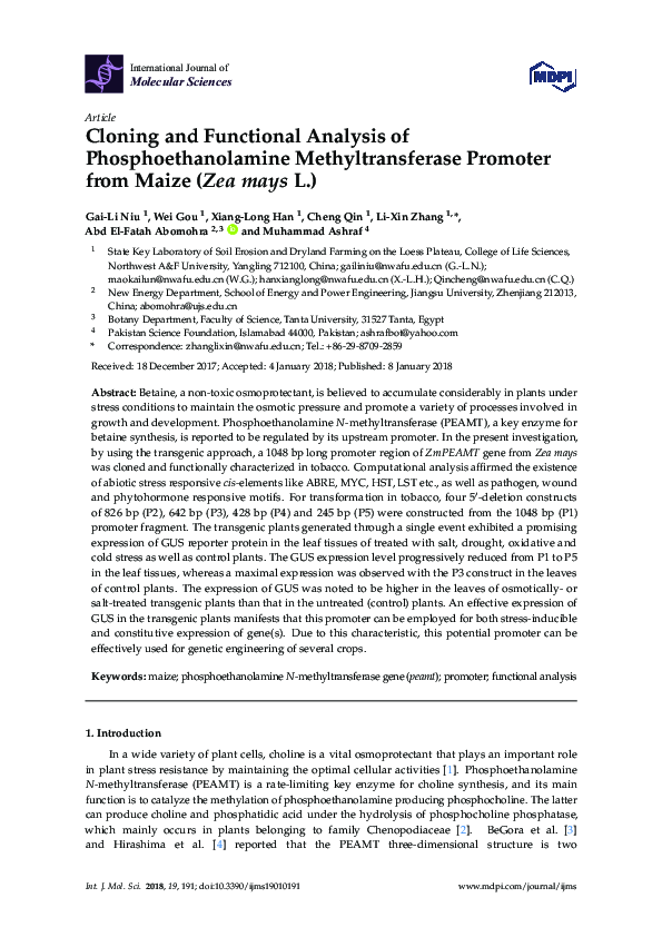 (PDF) Cloning and Functional Analysis of Phosphoethanolamine ...