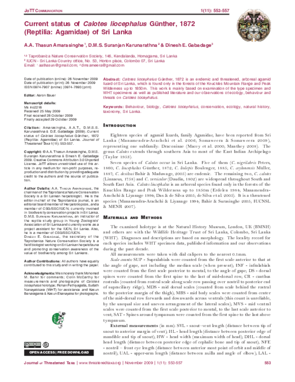 (PDF) Current status of Calotes liocephalus Günther, 1872 (Reptilia ...
