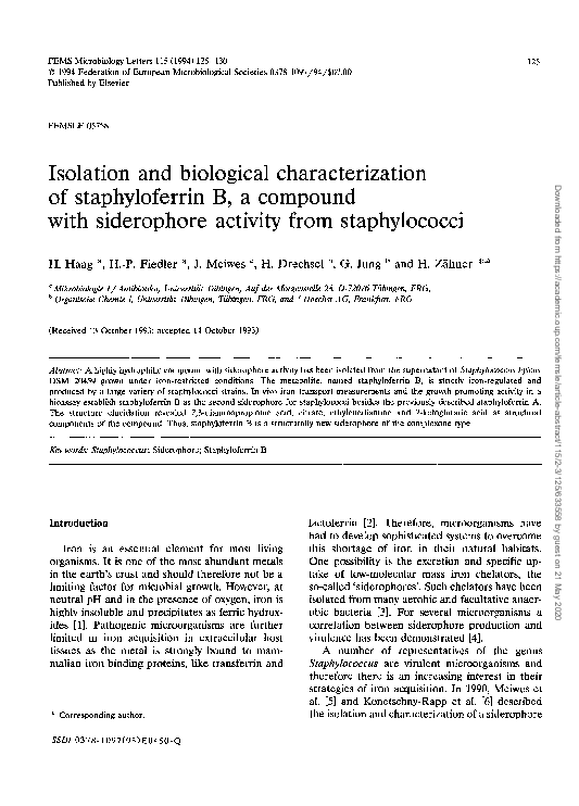 (PDF) Isolation and biological characterization of human amniotic fluid ...