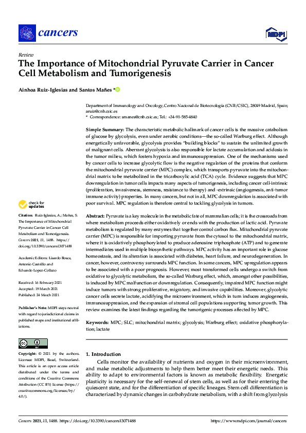 (PDF) The Importance of Mitochondrial Pyruvate Carrier in Cancer Cell ...
