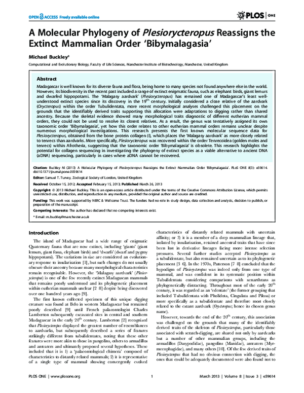 (PDF) A Molecular Phylogeny of Plesiorycteropus Reassigns the Extinct