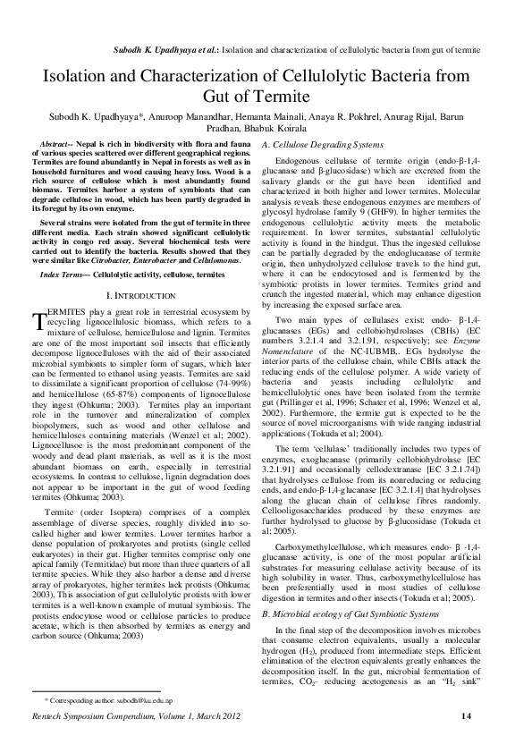 (PDF) Isolation and Characterization of Cellulolytic Bacteria from Gut ...