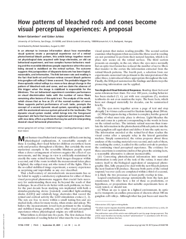 (PDF) How patterns of bleached rods and cones become visual perceptual ...
