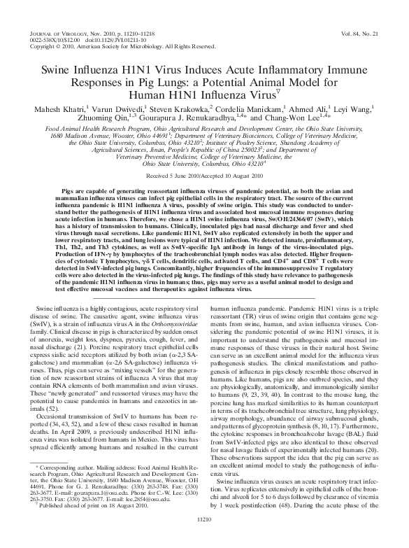 (PDF) Swine influenza H1N1 virus induces acute inflammatory immune ...