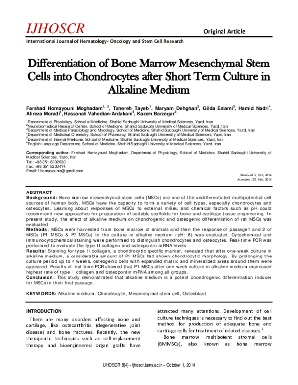 (PDF) Differentiation of Bone Marrow Mesenchymal Stem Cells into ...