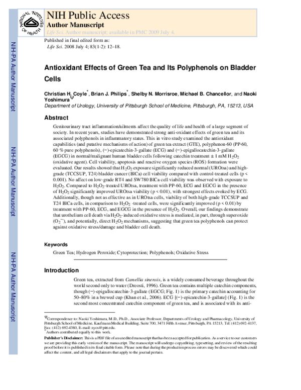 (PDF) Antioxidant effects of green tea and its polyphenols on bladder cells