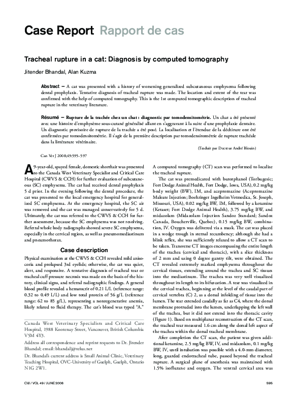 (PDF) Tracheal rupture in a cat diagnosis by computed tomography