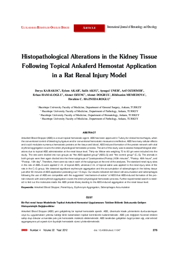 (PDF) Histopathological Alterations in the Kidney Tissue Following ...