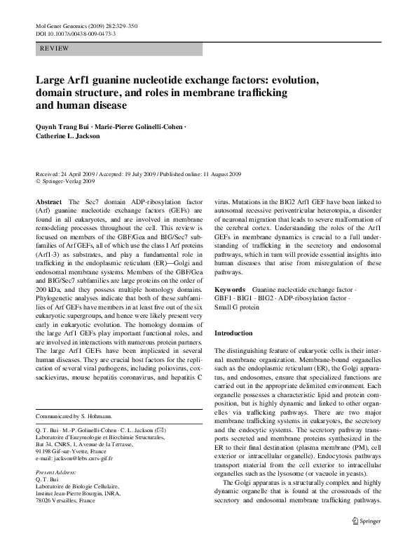 (PDF) Large Arf1 guanine nucleotide exchange factors: evolution, domain ...