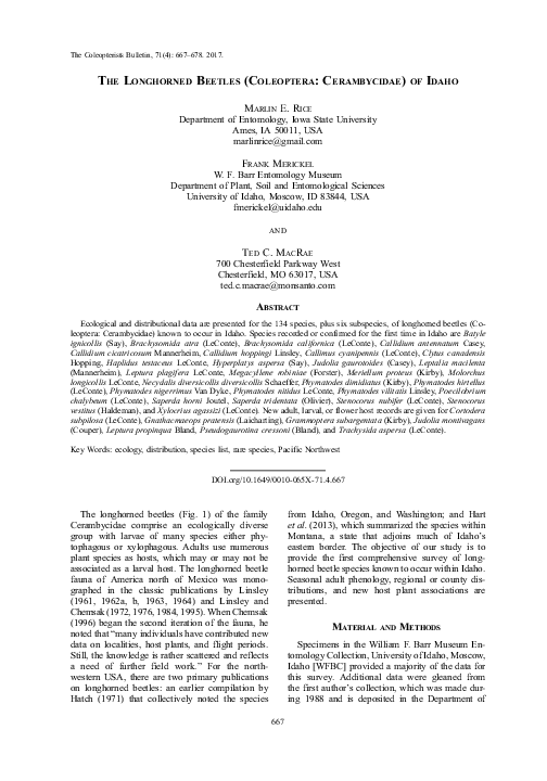 (PDF) The Longhorned Beetles (Coleoptera: Cerambycidae) of Idaho