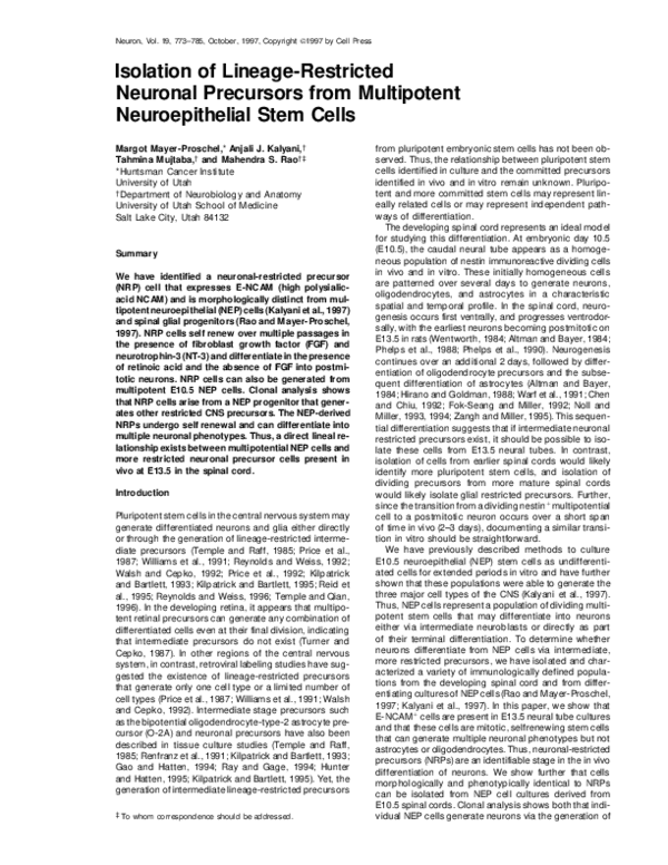 (PDF) Isolation of Lineage-Restricted Neuronal Precursors from ...