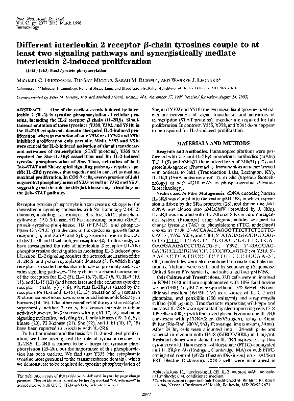 (PDF) Different interleukin 2 receptor beta-chain tyrosines couple to ...