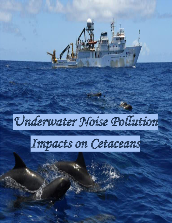(PDF) Underwater Noise Pollution: Impacts on Cetaceans