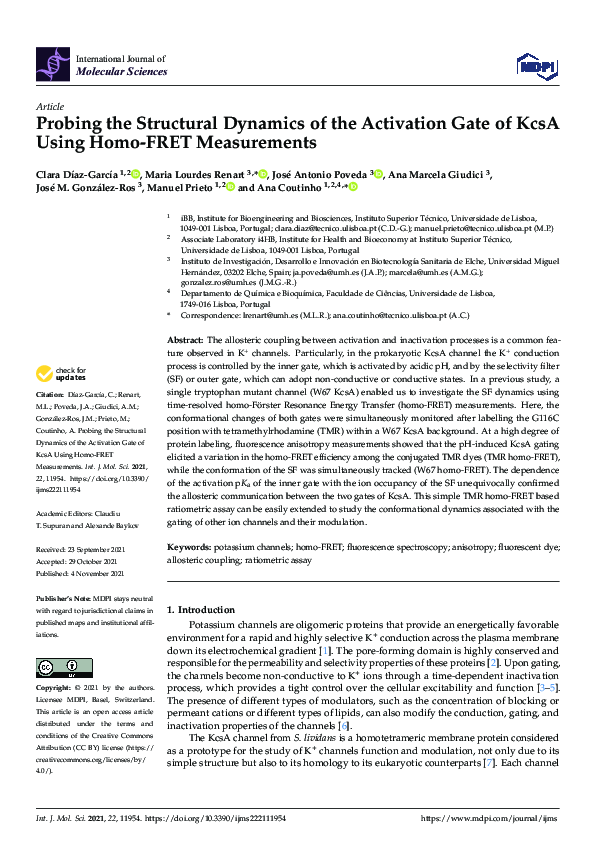 (PDF) Probing the Structural Dynamics of the Activation Gate of KcsA ...