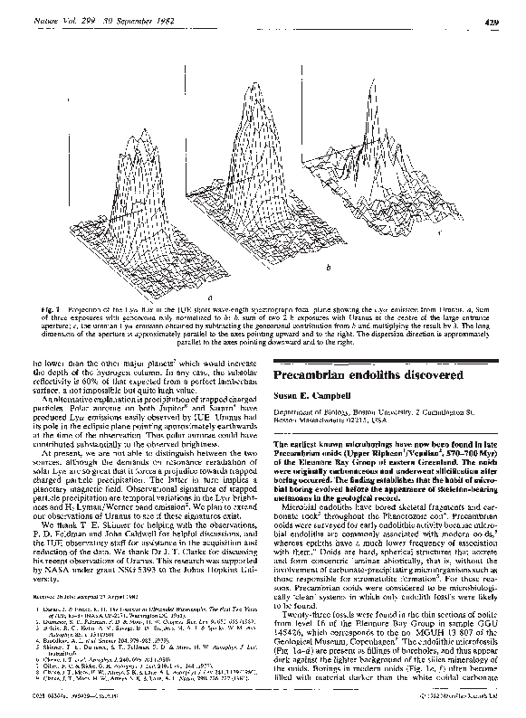 (PDF) Precambrian endoliths discovered