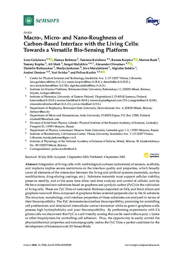 (PDF) Macro-, Micro- and Nano-Roughness of Carbon-Based Interface with ...