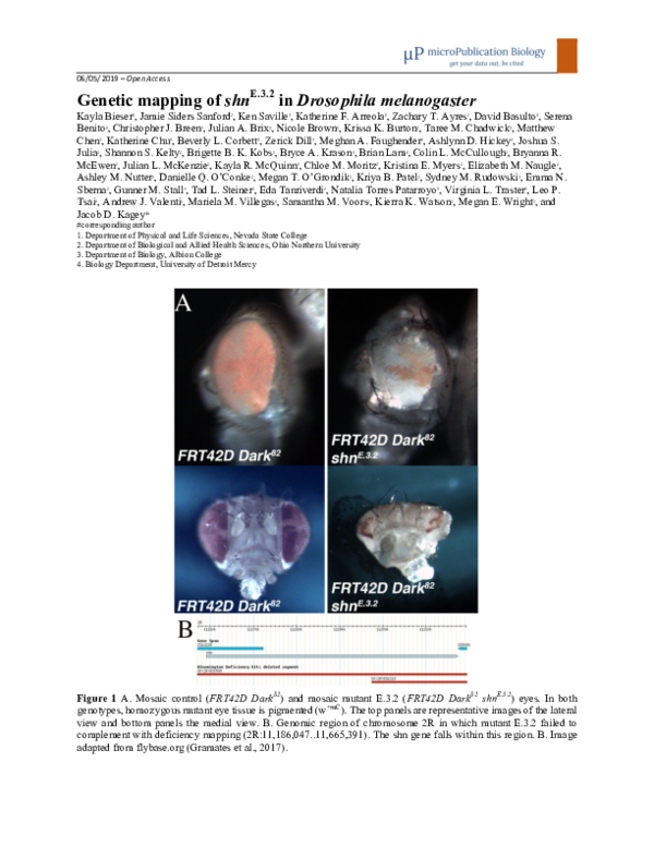 (PDF) Genetic mapping of shnE.3.2 in Drosophila melanogaster