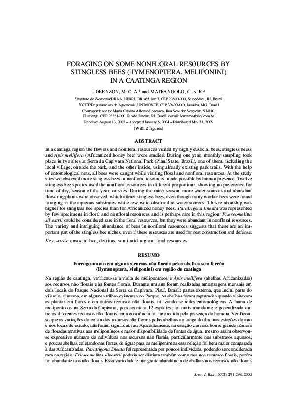 (PDF) Foraging on some nonfloral resources by stingless bees ...