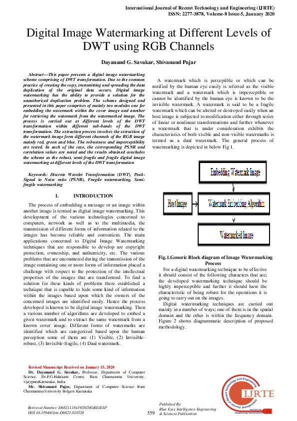 (PDF) Digital Image Watermarking at Different Levels of DWT using RGB ...
