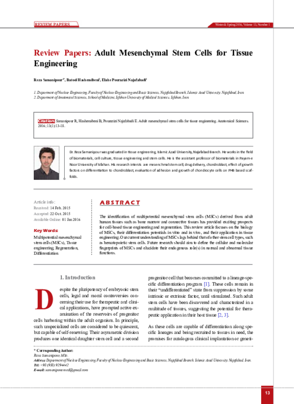 (PDF) Papers : Adult Mesenchymal Stem Cells for Tissue Engineering