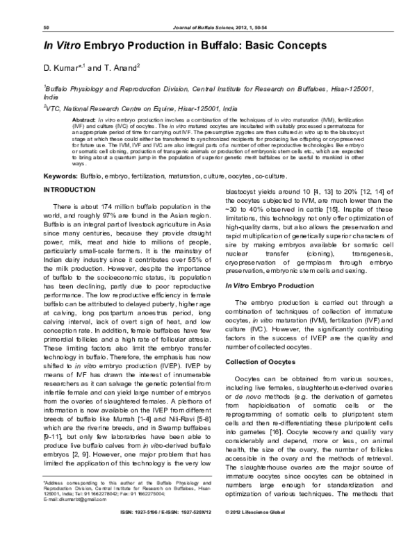 (PDF) In Vitro Embryo Production in Buffalo: Basic Concepts