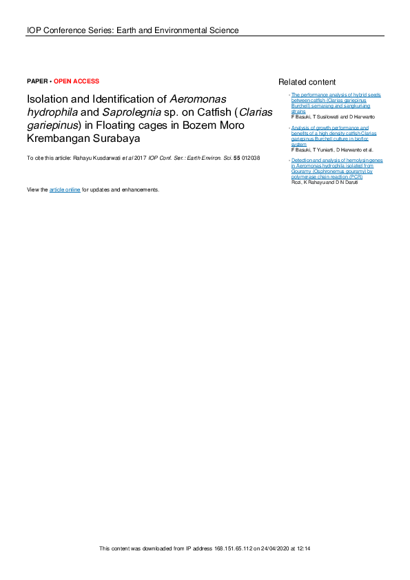 (PDF) ISOLATION AND IDENTIFICATION OF Aeromonas hydrophila AS THE CAUSE ...