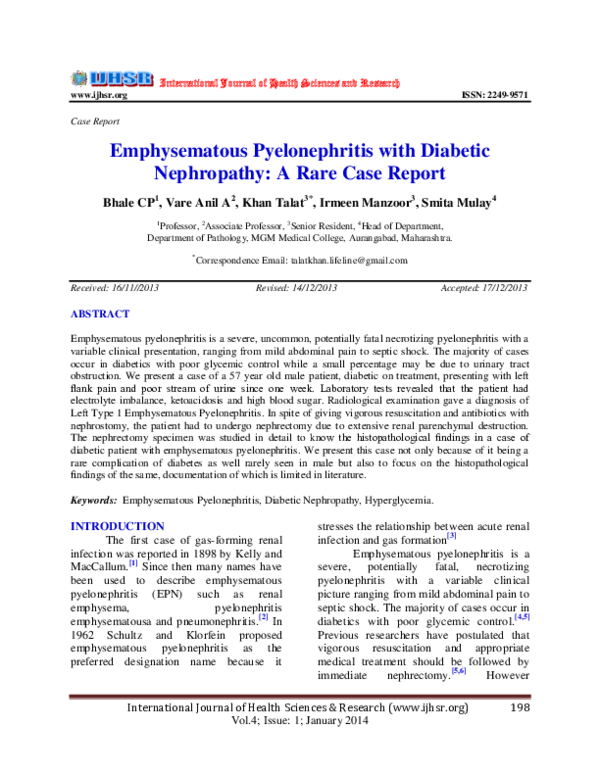 (PDF) Emphysematous Pyelonephritis with Diabetic Nephropathy A Rare Case Report irmeen