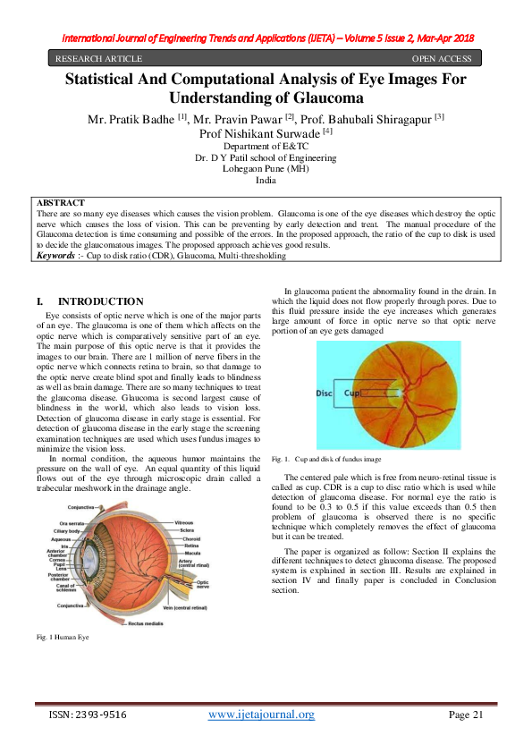 (PDF) Statistical And Computational Analysis of Eye Images For ...