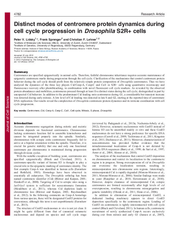 (PDF) Distinct modes of centromere protein dynamics during cell cycle ...