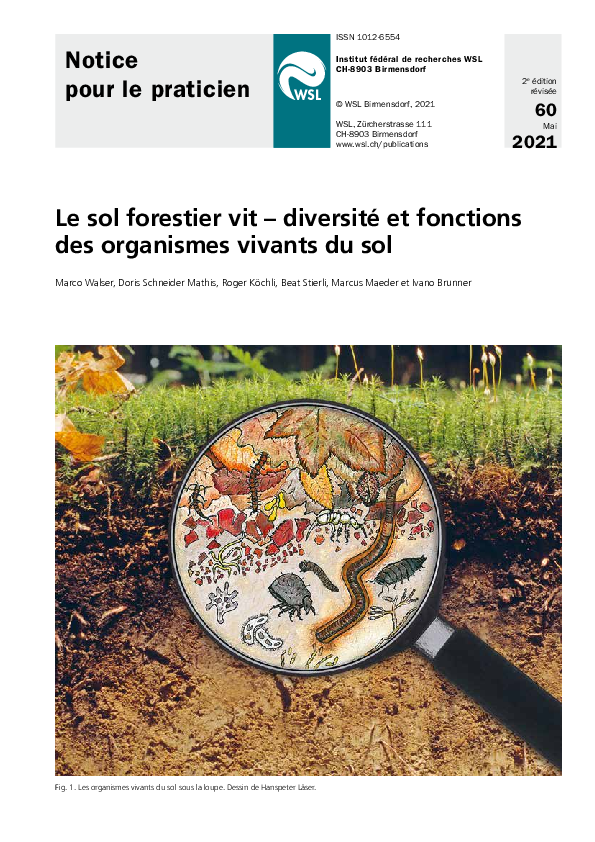(PDF) Le sol forestier vit – diversité et fonctions des organismes ...
