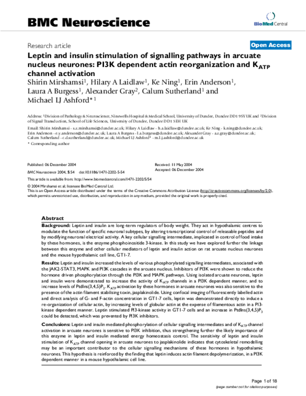 (PDF) Leptin and insulin stimulation of signalling pathways in arcuate ...