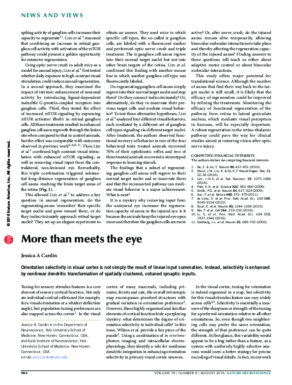 (PDF) More than meets the eye