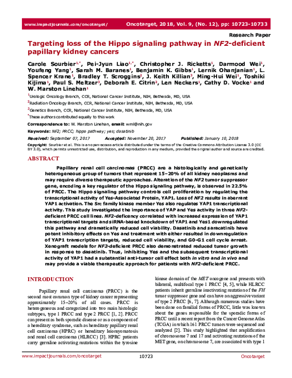 (PDF) {"__content__"=>"Targeting loss of the Hippo signaling pathway in ...