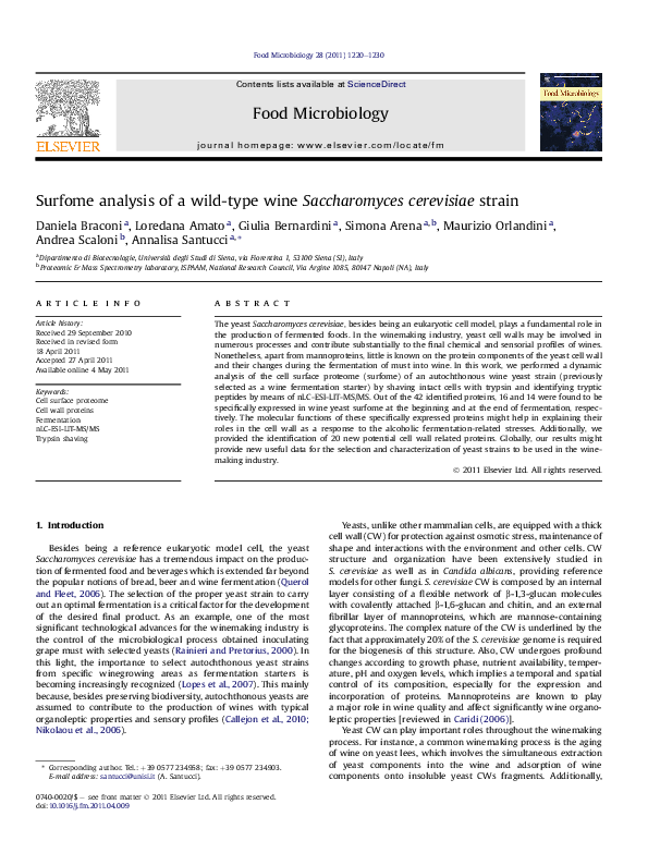 (PDF) Surfome analysis of a wild-type wine Saccharomyces cerevisiae strain