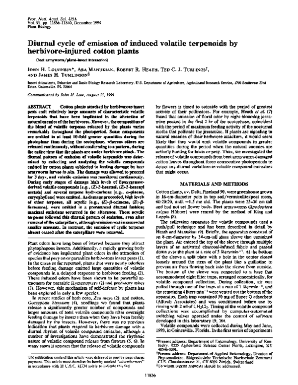(PDF) Diurnal cycle of emission of induced volatile terpenoids by ...