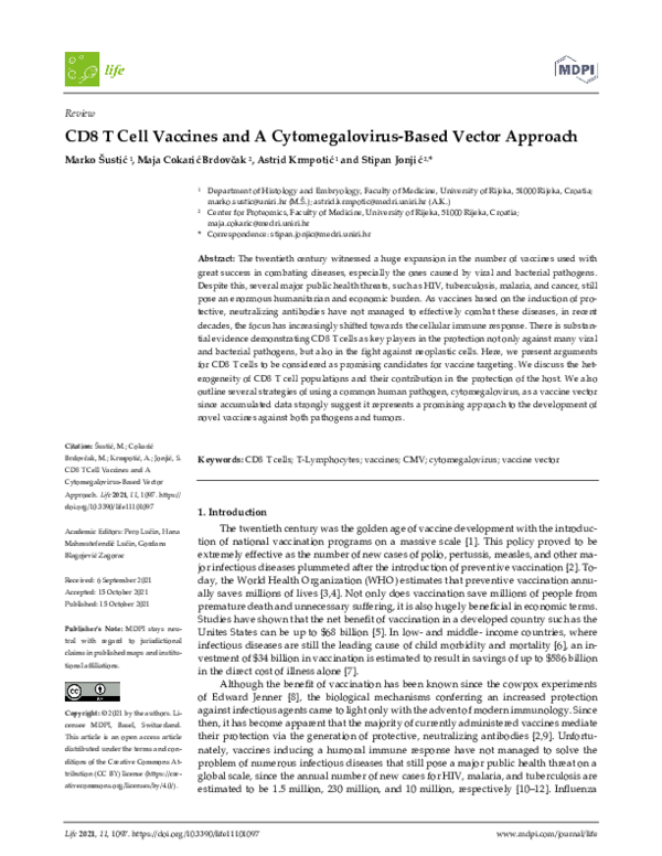 (PDF) CD8 T Cell Vaccines and a Cytomegalovirus-Based Vector Approach