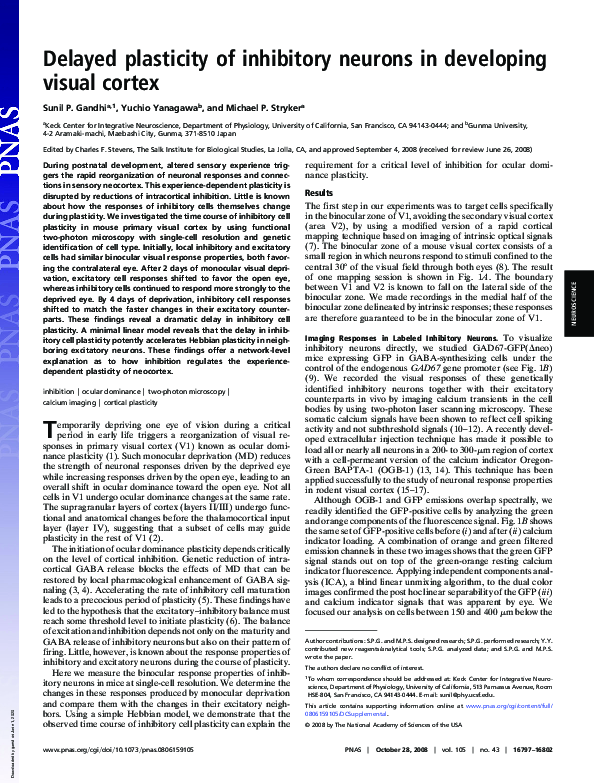 (PDF) Delayed plasticity of inhibitory neurons in developing visual cortex