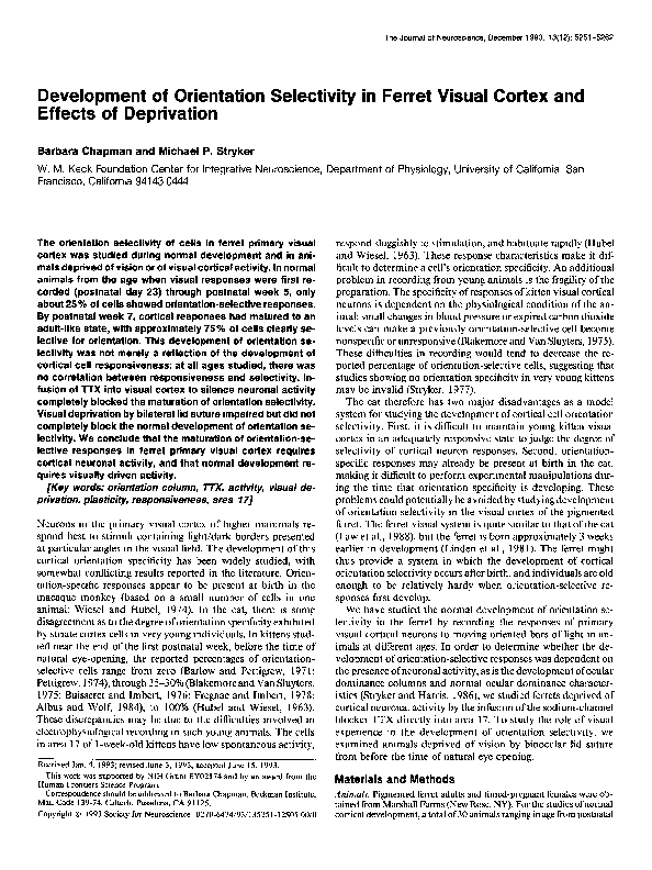 (PDF) Development of orientation selectivity in ferret visual cortex ...