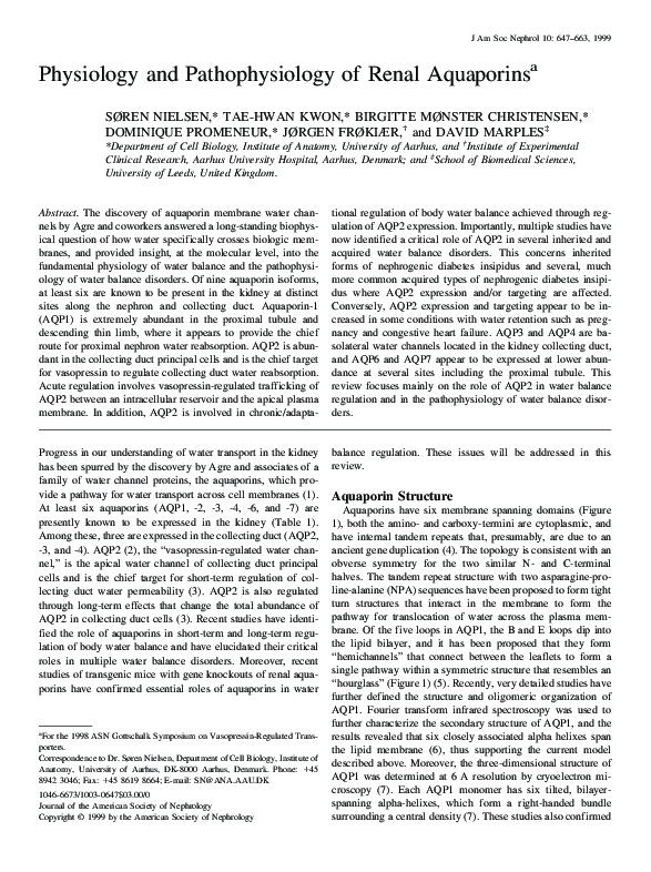 (PDF) Physiology and Pathophysiology of Renal Aquaporins a