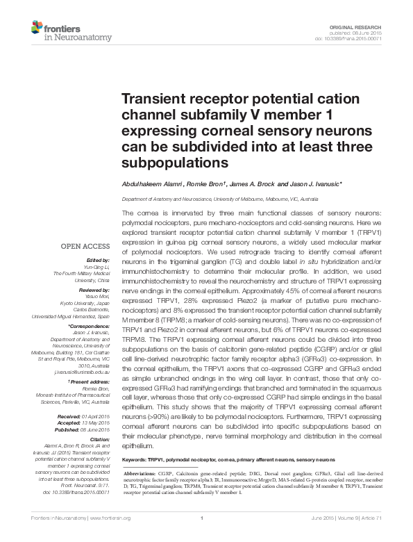 (PDF) Transient receptor potential cation channel subfamily V member 1 ...