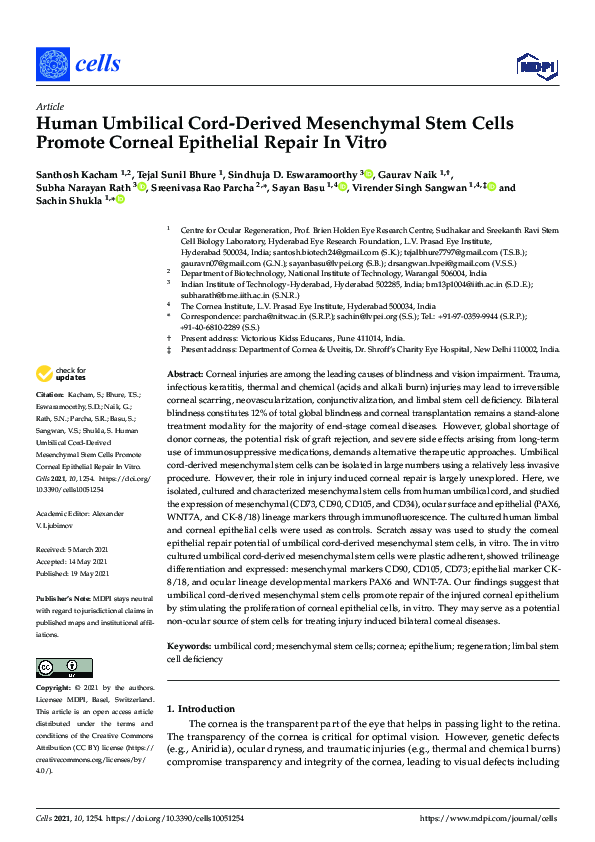 (PDF) Human Umbilical Cord-Derived Mesenchymal Stem Cells Promote ...