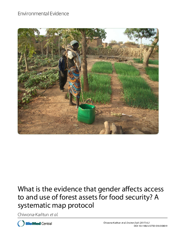 (PDF) What is the evidence that gender affects access to and use of ...