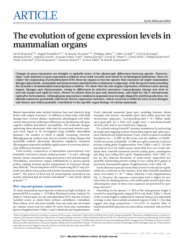 (PDF) The evolution of gene expression levels in mammalian organs