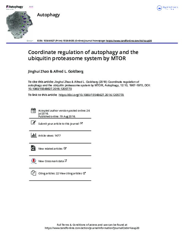 (PDF) Coordinate regulation of autophagy and the ubiquitin proteasome ...