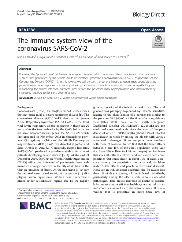 (PDF) The immune system view of the coronavirus SARS-CoV-2