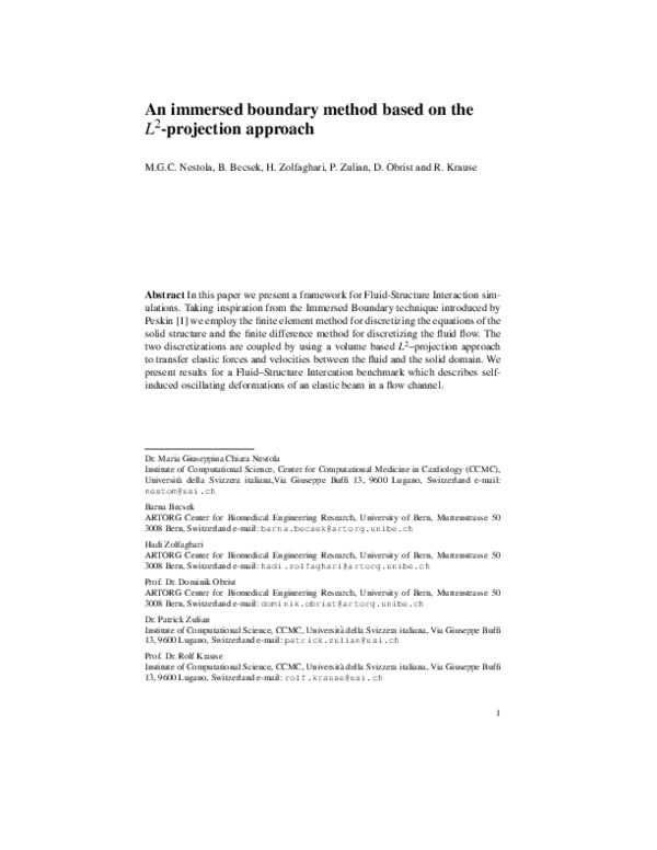 (PDF) An Immersed Boundary Method Based on the L 2 -Projection Approach