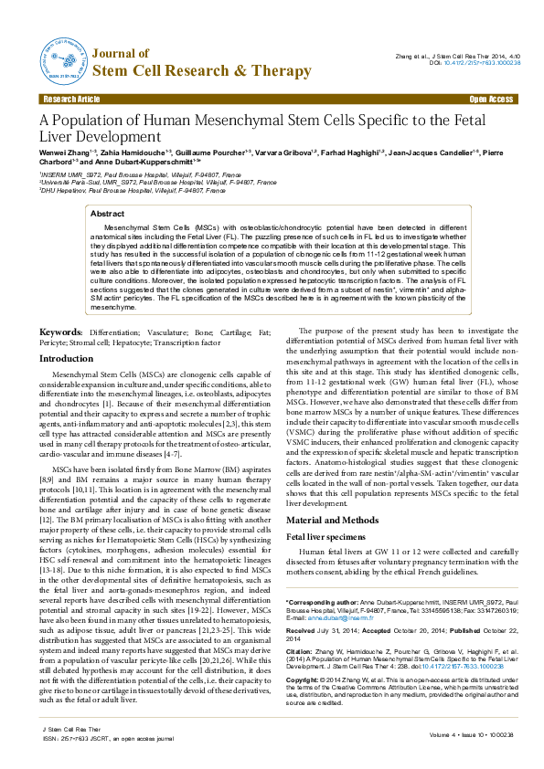 (PDF) A Population of Human Mesenchymal Stem Cells Specific to the ...