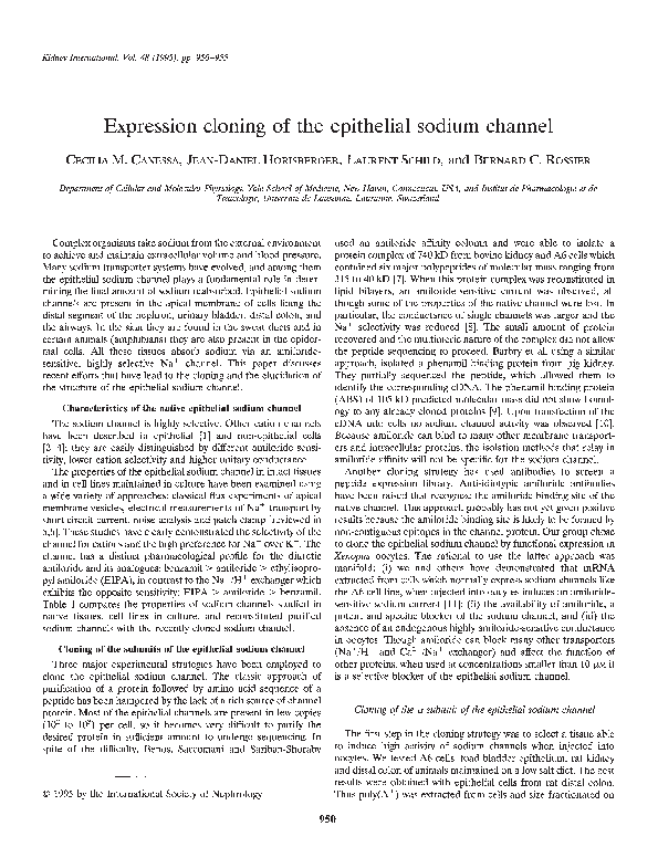 (PDF) Expression cloning of the epithelial sodium channel