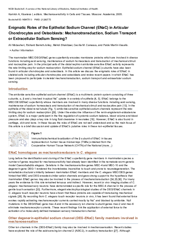 (PDF) Enigmatic Roles of the Epithelial Sodium Channel (ENaC) in ...