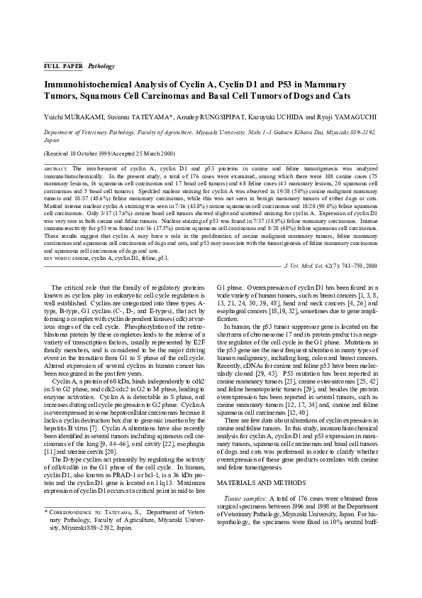 (PDF) Immunohistochemical Analysis of Cyclin A, Cyclin D1 and P53 in ...